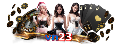 vn23